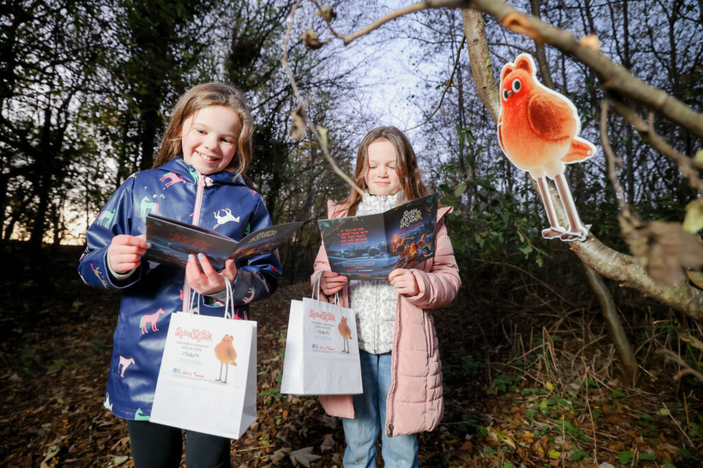 Celebrate your inner Robin at RSPB Belfast WOW this Christmas | Bloom ...